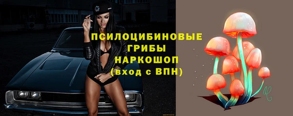 ГАЛЛЮЦИНОГЕННЫЕ ГРИБЫ Баксан