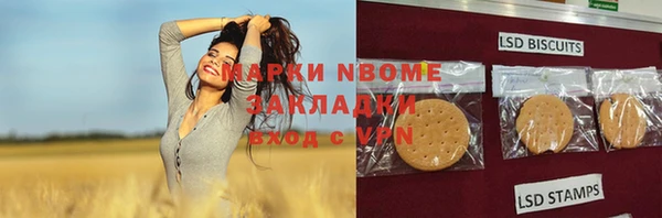 ГАЛЛЮЦИНОГЕННЫЕ ГРИБЫ Баксан
