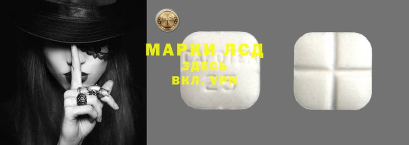 ГАЛЛЮЦИНОГЕННЫЕ ГРИБЫ Баксан