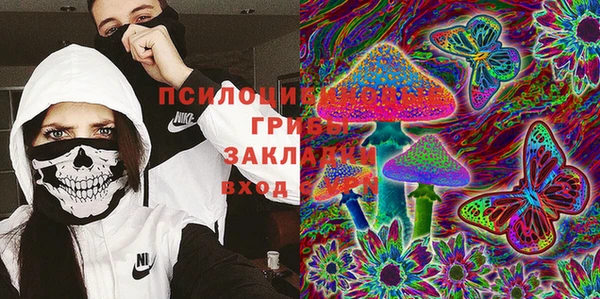 ГАЛЛЮЦИНОГЕННЫЕ ГРИБЫ Баксан
