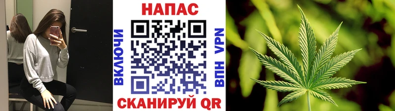 Бошки марихуана OG Kush Балей